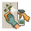 Mould Removal