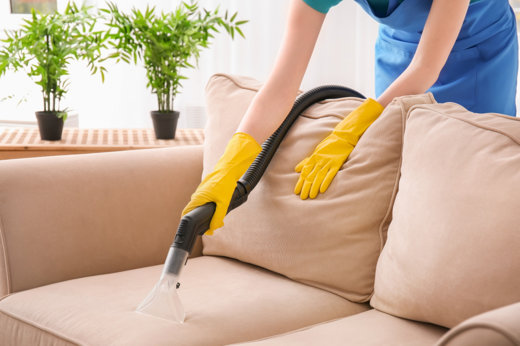  dry clean the couch at home