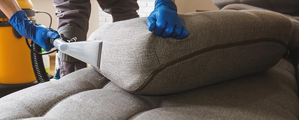 About CBD Couch Cleaning Brisbane