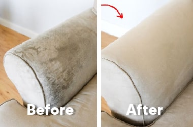 Couch Mould Removal Service