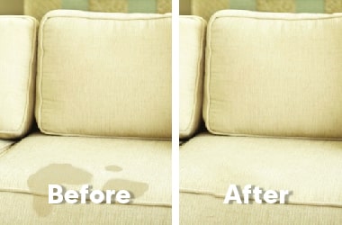 Couch Pet Urine Removal Service