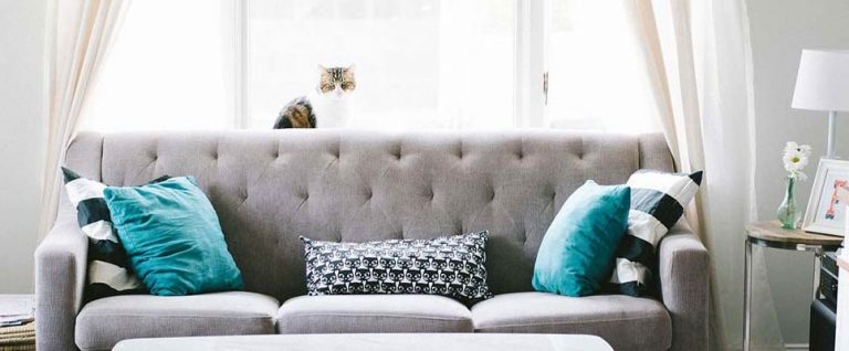 the-role-of-upholstery-cleaning-in-reducing-dust-mites-and-asthma